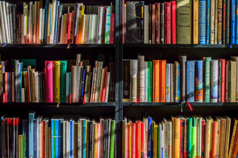 ecommerce-TOUET SUR VAR-min_books_bookstore_book_reading_shop_writer_sale_books_read-822866